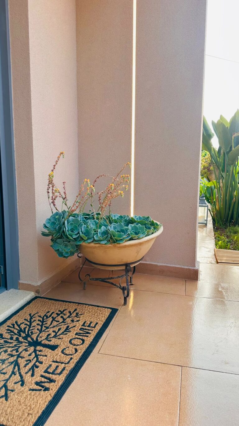 Ο κήπος και οι εξωτερικοί χώροι του Sunset Suite Mytikas.